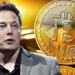 Elon Musk and Crypto: Impact on 2024 Coin Prices and Market