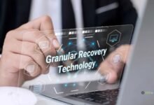 Granular Recovery Technology