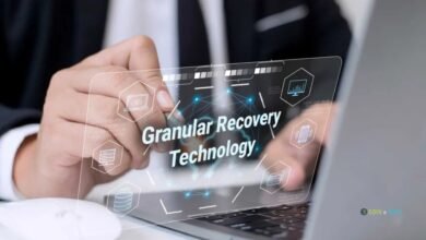 Granular Recovery Technology