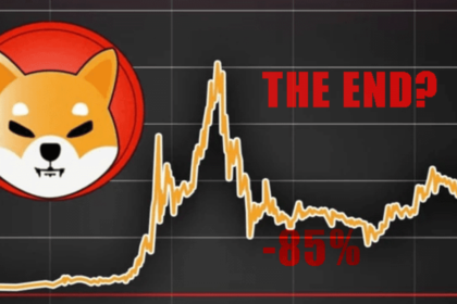 Shiba Inu Excites Investors: