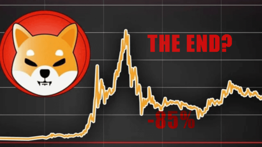 Shiba Inu Excites Investors: