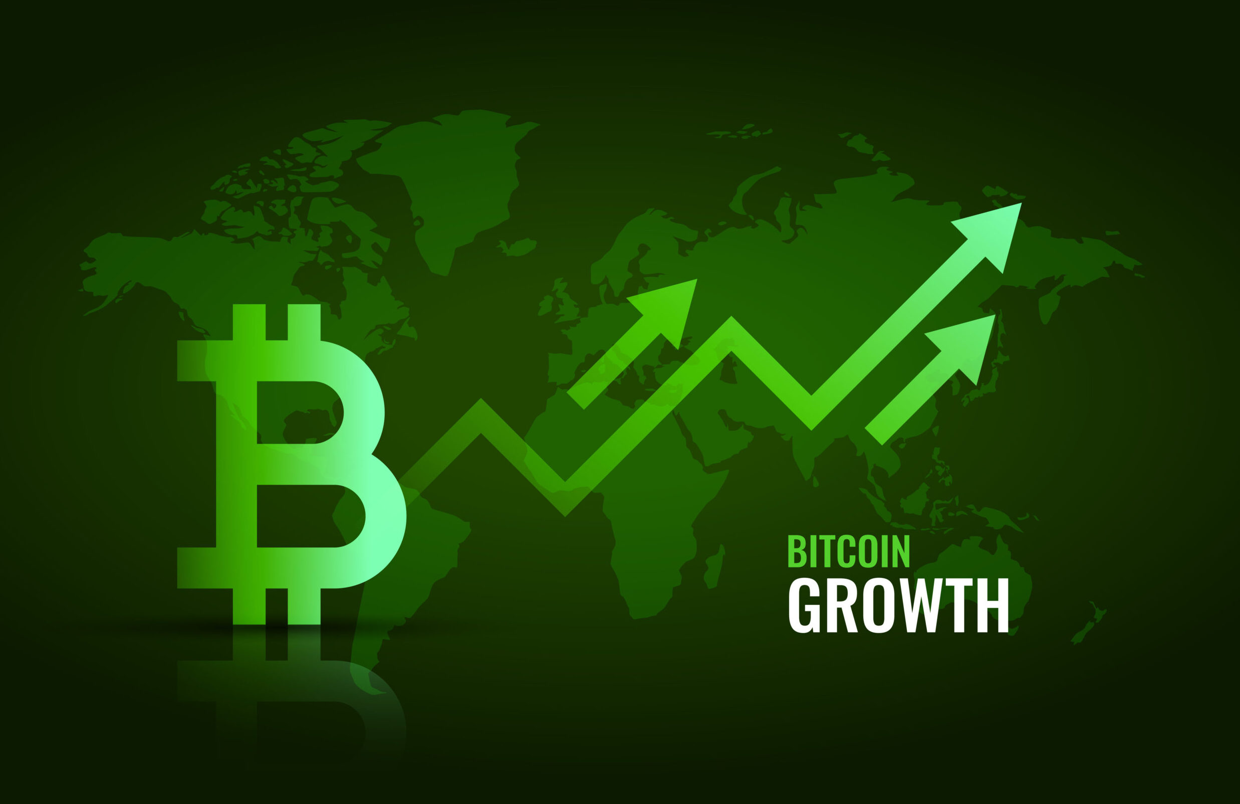 Bitcoin Growth Risks