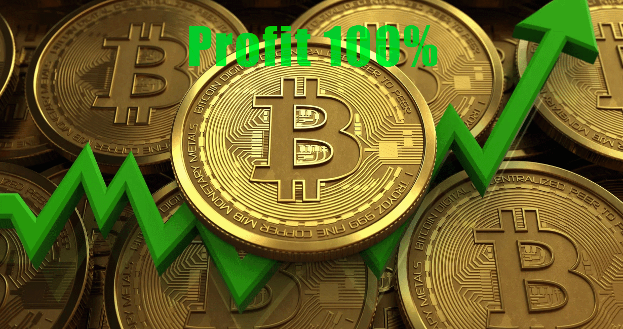 Bitcoin Market Surge