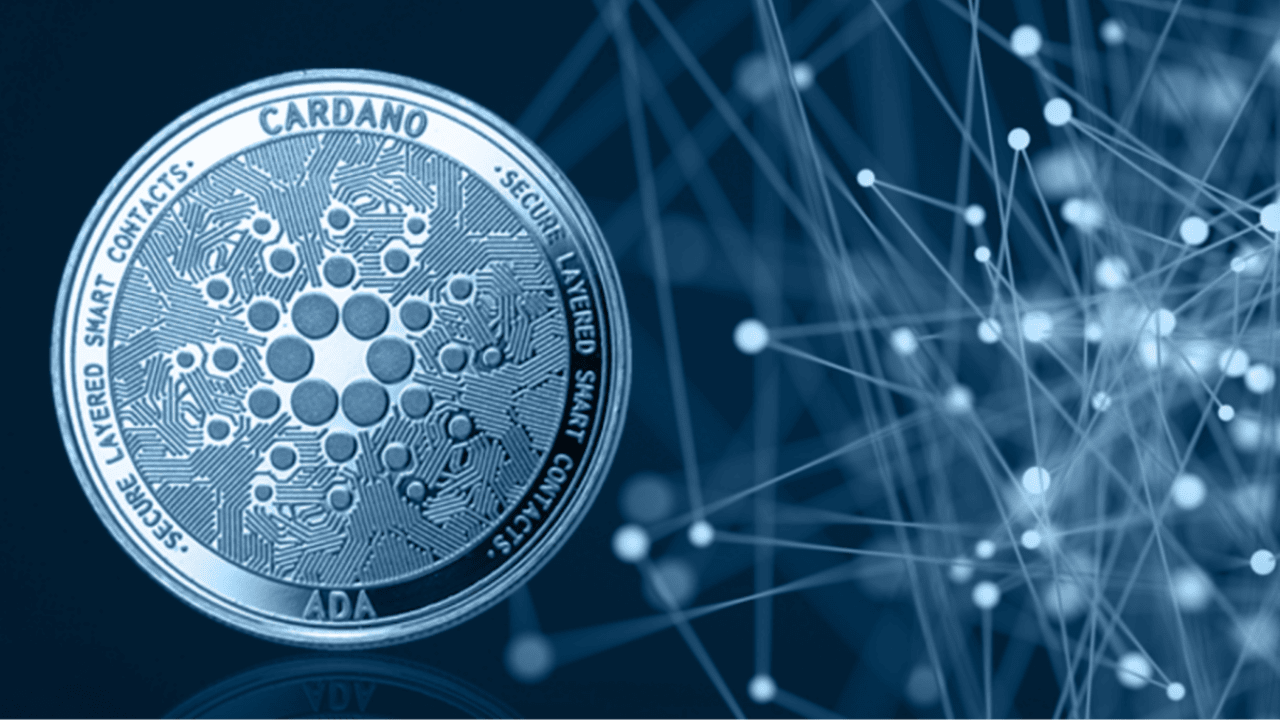 Cardano Long Term Vision