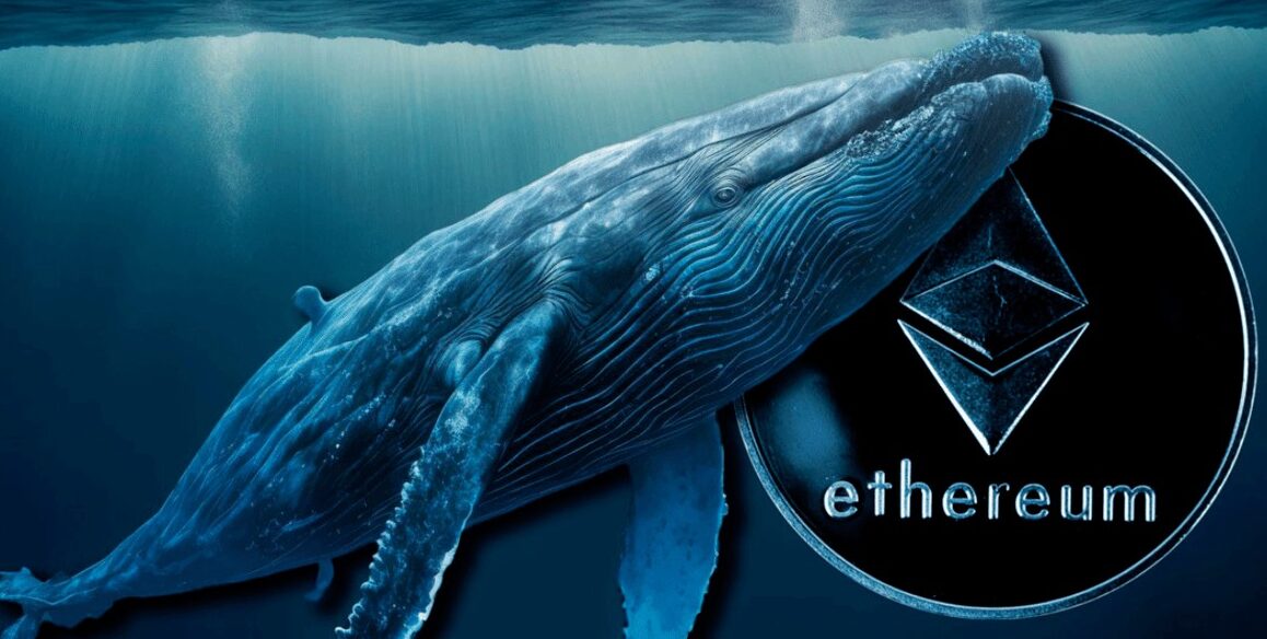 Background Information Ethereum Response to Whale Activity