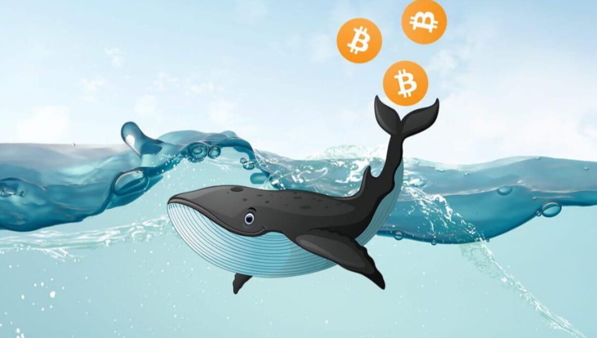 Binance Inflows Set Alarms: Are ETH Dumped Whales