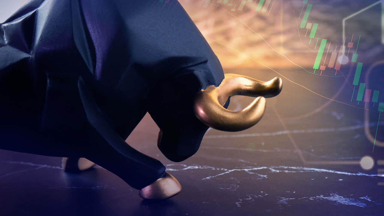 Market Catalysts Driving Bullish Sentiment