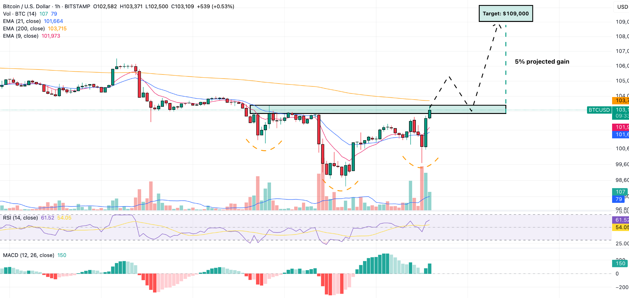 Massive Short Liquidations Signal Market Sentiment Shift